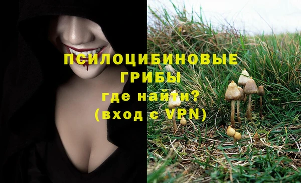 герыч Белокуриха